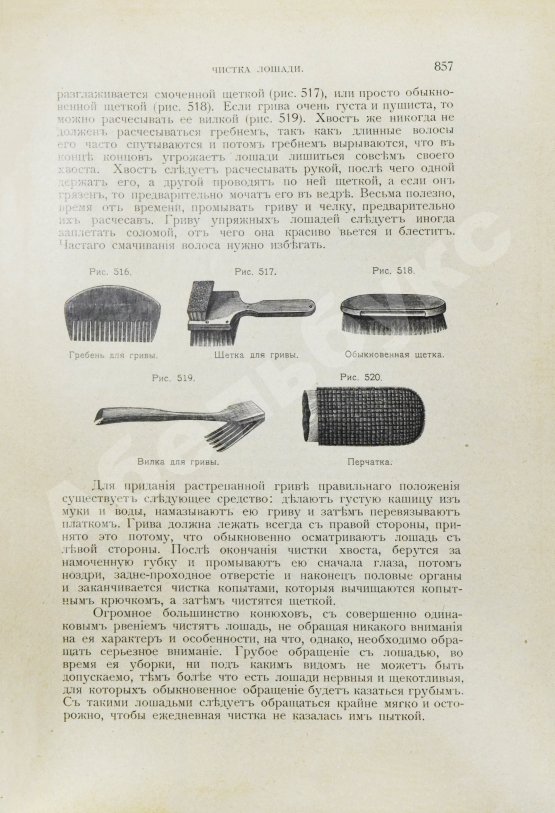 Антикварная книга Врангель, К.Г. Книга о лошади