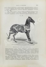 Врангель, К.Г. Книга о лошади