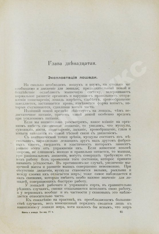 Антикварная книга Врангель, К.Г. Книга о лошади