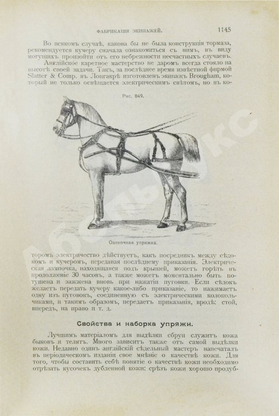 Антикварная книга Врангель, К.Г. Книга о лошади