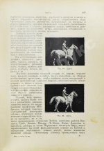 Врангель, К.Г. Книга о лошади