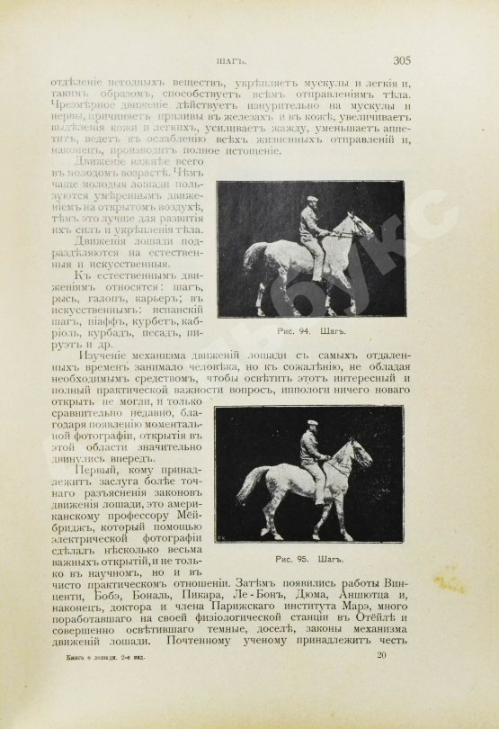 Антикварная книга Врангель, К.Г. Книга о лошади