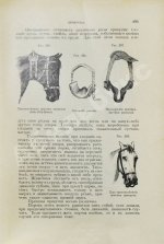 Врангель, К.Г. Книга о лошади