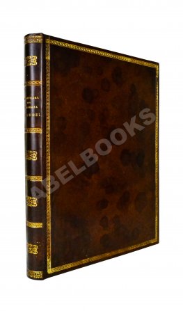 Алексеев, Д.А. Памятник из межевых законов