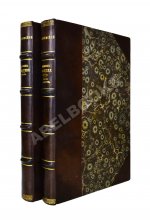 Достоевский, Ф.М. Дневник писателя. Полный комплект прижизненных выпусков