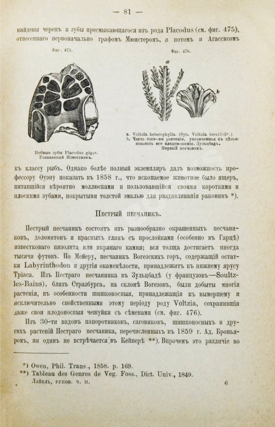 Антикварная книга Ляйель, Ч. Руководство к геологии или древние изменения земли и её обитателей, по свидетельству геологических памятников