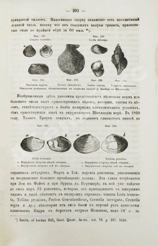 Антикварная книга Ляйель, Ч. Руководство к геологии или древние изменения земли и её обитателей, по свидетельству геологических памятников