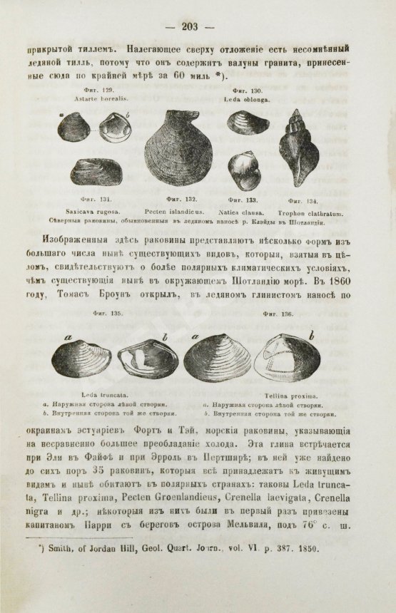 Антикварная книга Ляйель, Ч. Руководство к геологии или древние изменения земли и её обитателей, по свидетельству геологических памятников