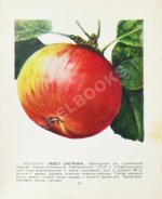 Лучшие сорта плодово-ягодных культур