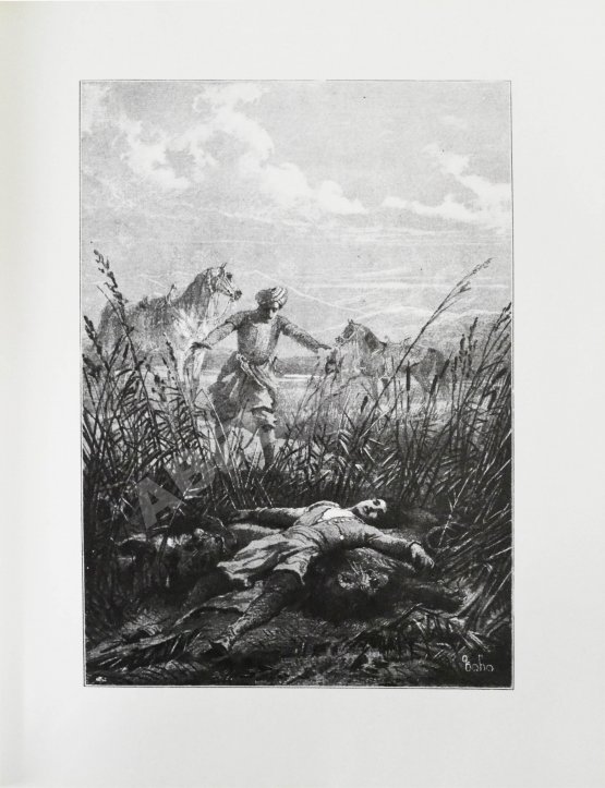 Антикварная книга Руставели, Ш. Витязь в тигровой шкуре