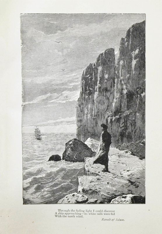 Антикварная книга Shelley, P.B. The Poetical of Percy Bysshe Shelley