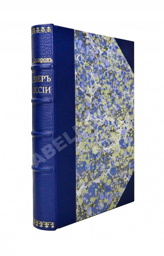 Антикварная книга Сидоров, М.К. Север России