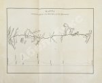 Циммерман, Э.Р. Соединённые Штаты Северной Америки. Из путешествий 1857-58 и 1869-70 годов