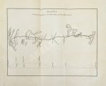 Циммерман, Э.Р. Соединённые Штаты Северной Америки. Из путешествий 1857-58 и 1869-70 годов