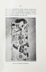 Адлер, Б.Ф. Возникновение одежды