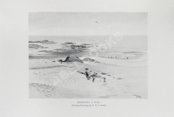 Антикварная книга Gathorne-Hardy, A.E. My happy hunting grounds