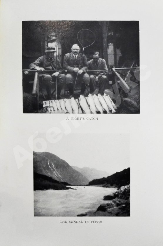 Антикварная книга Gathorne-Hardy, A.E. My happy hunting grounds