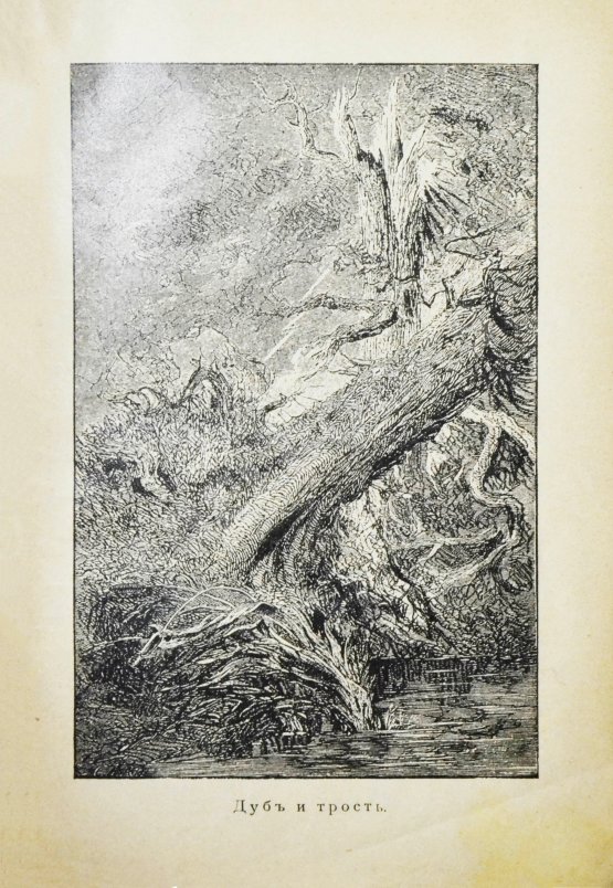 Антикварная книга Крылов, И.А. Басни И.А. Крылова