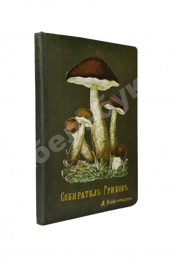 Антикварная книга Кайгородов, Д.Н. Собиратель грибов