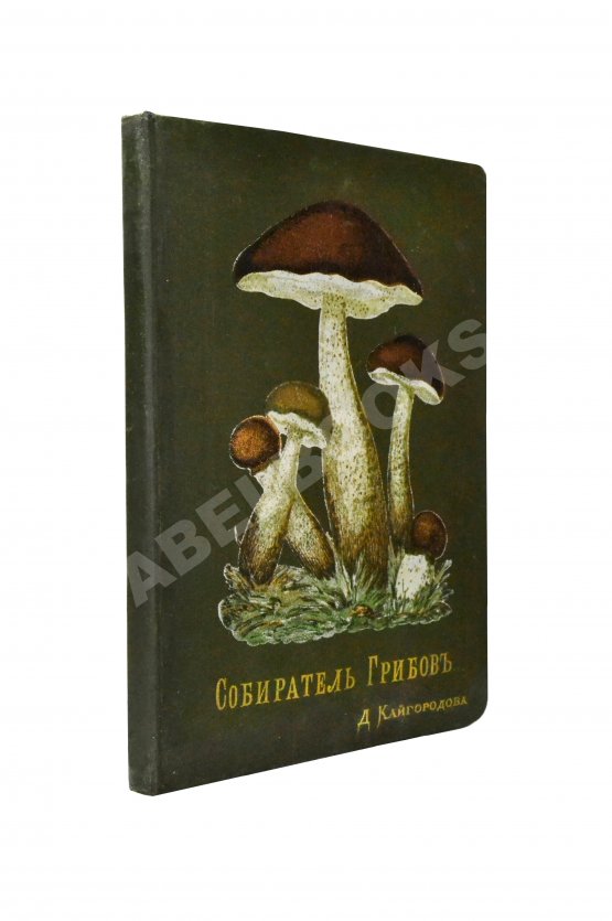 Антикварная книга Кайгородов, Д.Н. Собиратель грибов Антикварная книга Кайгородов, Д.Н. Собиратель грибов