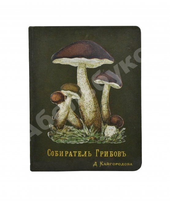 Антикварная книга Кайгородов, Д.Н. Собиратель грибов