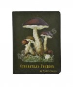 Кайгородов, Д.Н. Собиратель грибов