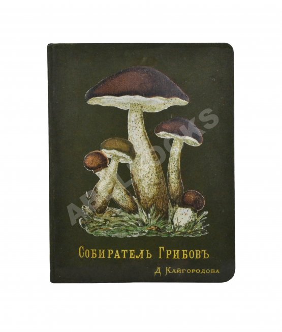 Антикварная книга Кайгородов, Д.Н. Собиратель грибов