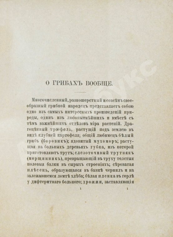 Антикварная книга Кайгородов, Д.Н. Собиратель грибов