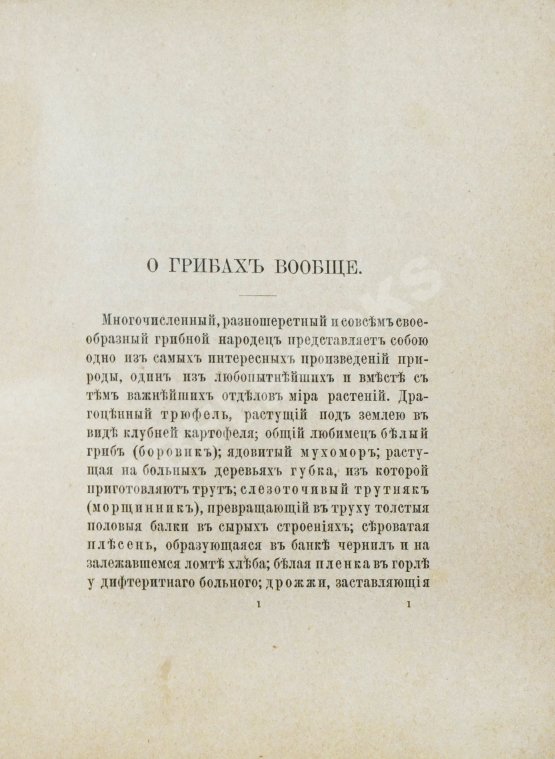 Антикварная книга Кайгородов, Д.Н. Собиратель грибов