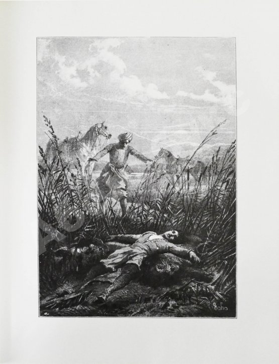 Антикварная книга Руставели, Ш. Витязь в тигровой шкуре