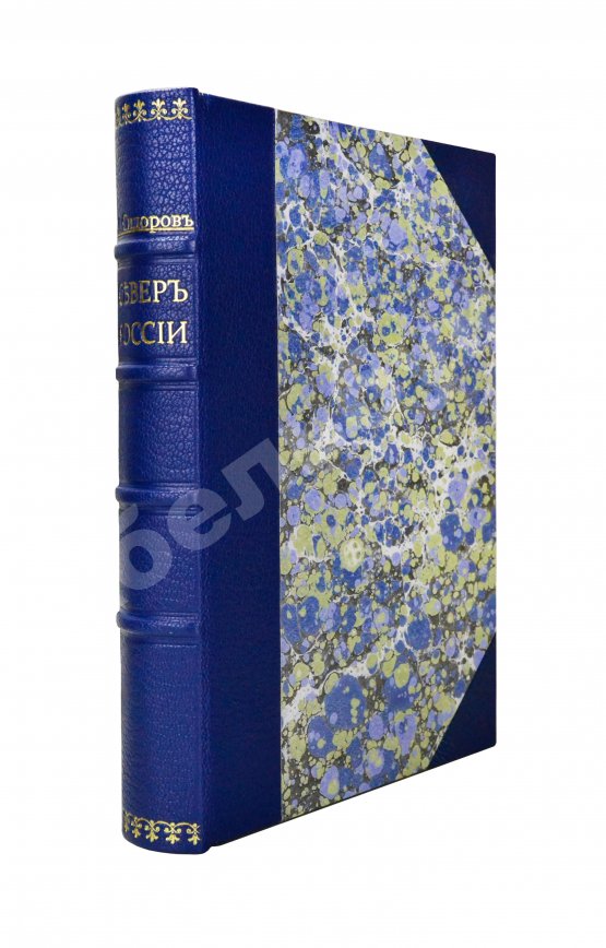 Антикварная книга Сидоров, М.К. Север России
