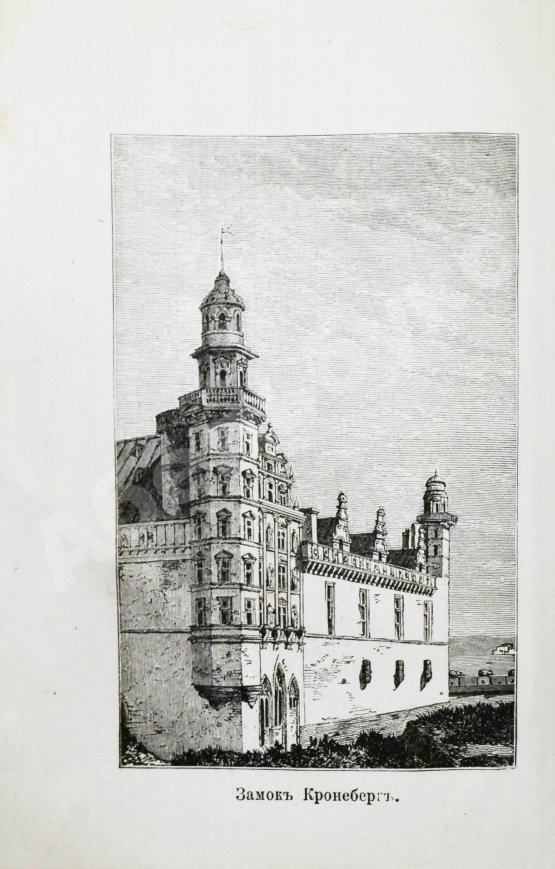 Антикварная книга Д'Оне, Л. Путешествие женщины на Шпицберген