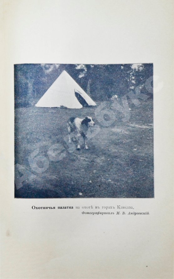 Антикварная книга Андреевский, М.В. Охотничьи записки и дневники егермейстера М.В. Андреевского
