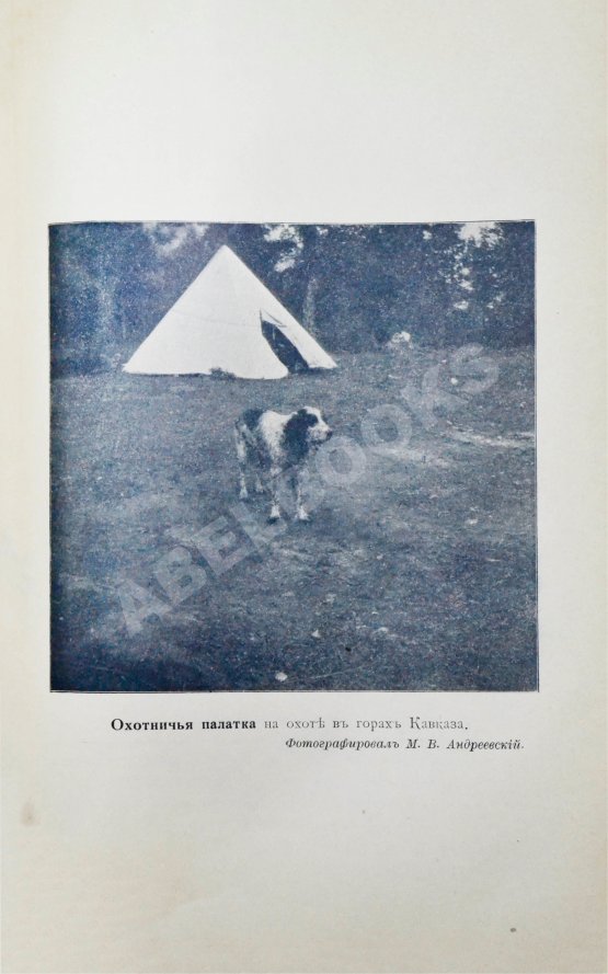 Антикварная книга Андреевский, М.В. Охотничьи записки и дневники егермейстера М.В. Андреевского