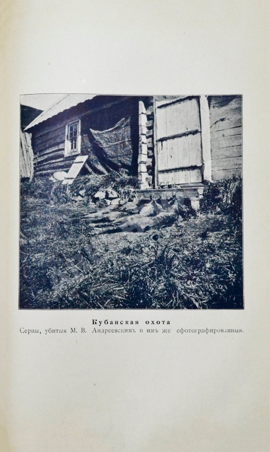 Антикварная книга Андреевский, М.В. Охотничьи записки и дневники егермейстера М.В. Андреевского