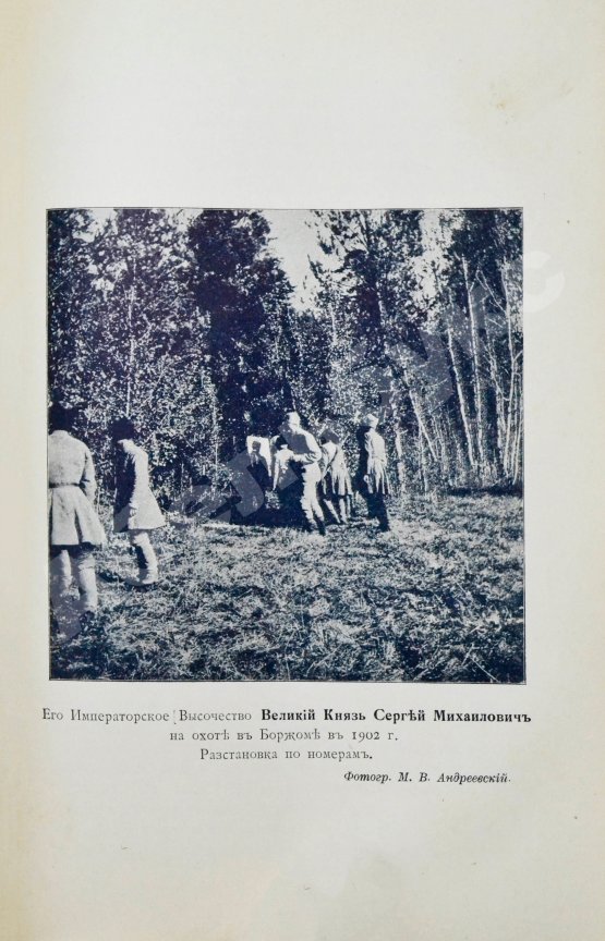 Антикварная книга Андреевский, М.В. Охотничьи записки и дневники егермейстера М.В. Андреевского