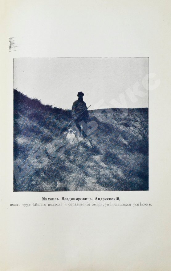 Антикварная книга Андреевский, М.В. Охотничьи записки и дневники егермейстера М.В. Андреевского