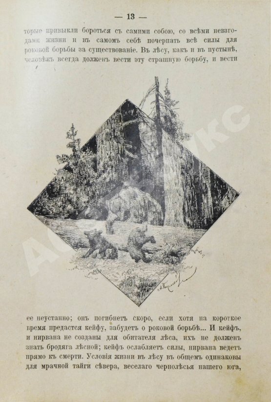 Антикварная книга Елисеев, А.В. В тайге. (Из воспоминаний о далеком Востоке)