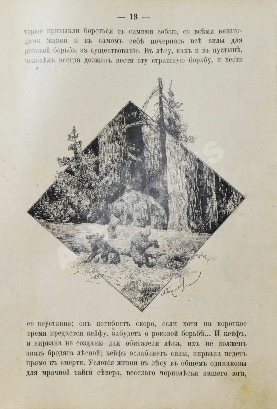 Антикварная книга Елисеев, А.В. В тайге. (Из воспоминаний о далеком Востоке)