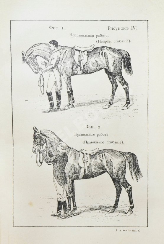 Антикварная книга Филлис, Д. Основы выездки и езды