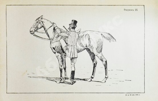 Антикварная книга Филлис, Д. Основы выездки и езды