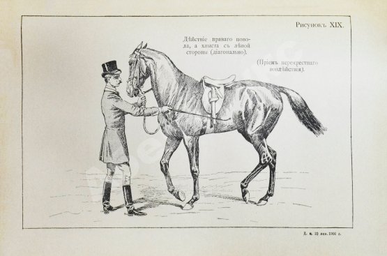 Антикварная книга Филлис, Д. Основы выездки и езды