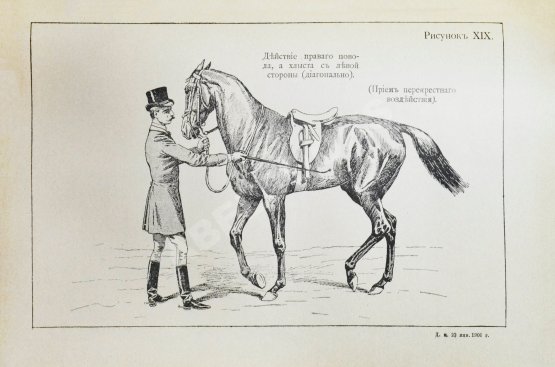 Антикварная книга Филлис, Д. Основы выездки и езды