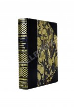 Столл, С. Что необходимо знать мальчику