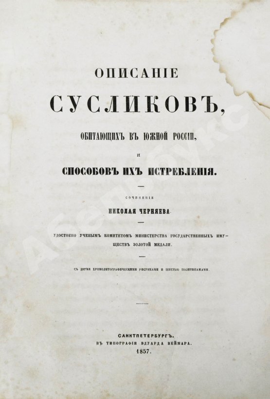 Антикварная книга Черняев, Н.В. Описание сусликов, обитающих в Южной России, и способов их истребления