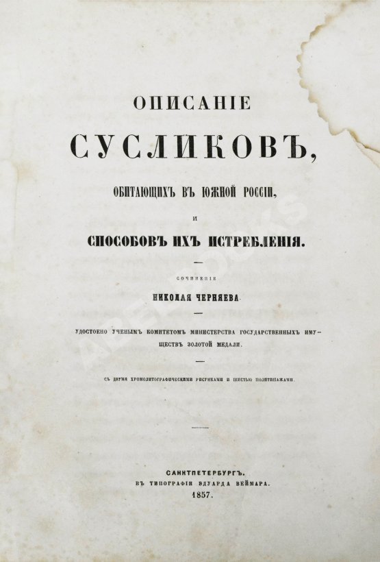 Антикварная книга Черняев, Н.В. Описание сусликов, обитающих в Южной России, и способов их истребления
