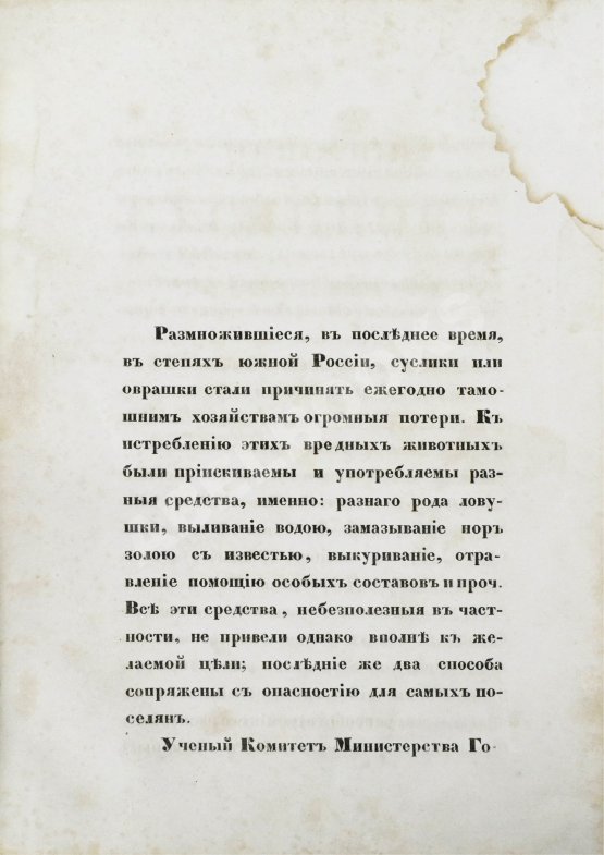 Антикварная книга Черняев, Н.В. Описание сусликов, обитающих в Южной России, и способов их истребления