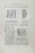 Звержховский, Ф.А. Основы дентиатрии. Руководство для врачей и студентов