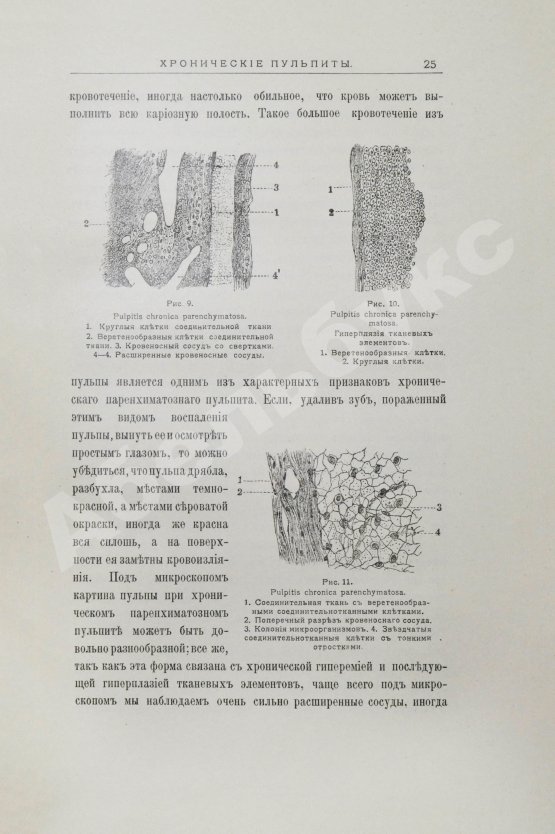 Антикварная книга Звержховский, Ф.А. Основы дентиатрии. Руководство для врачей и студентов
