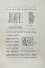 Звержховский, Ф.А. Основы дентиатрии. Руководство для врачей и студентов
